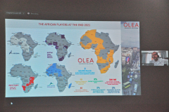 OLEA-M_G-2022-251