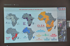 OLEA-M_G-2022-252